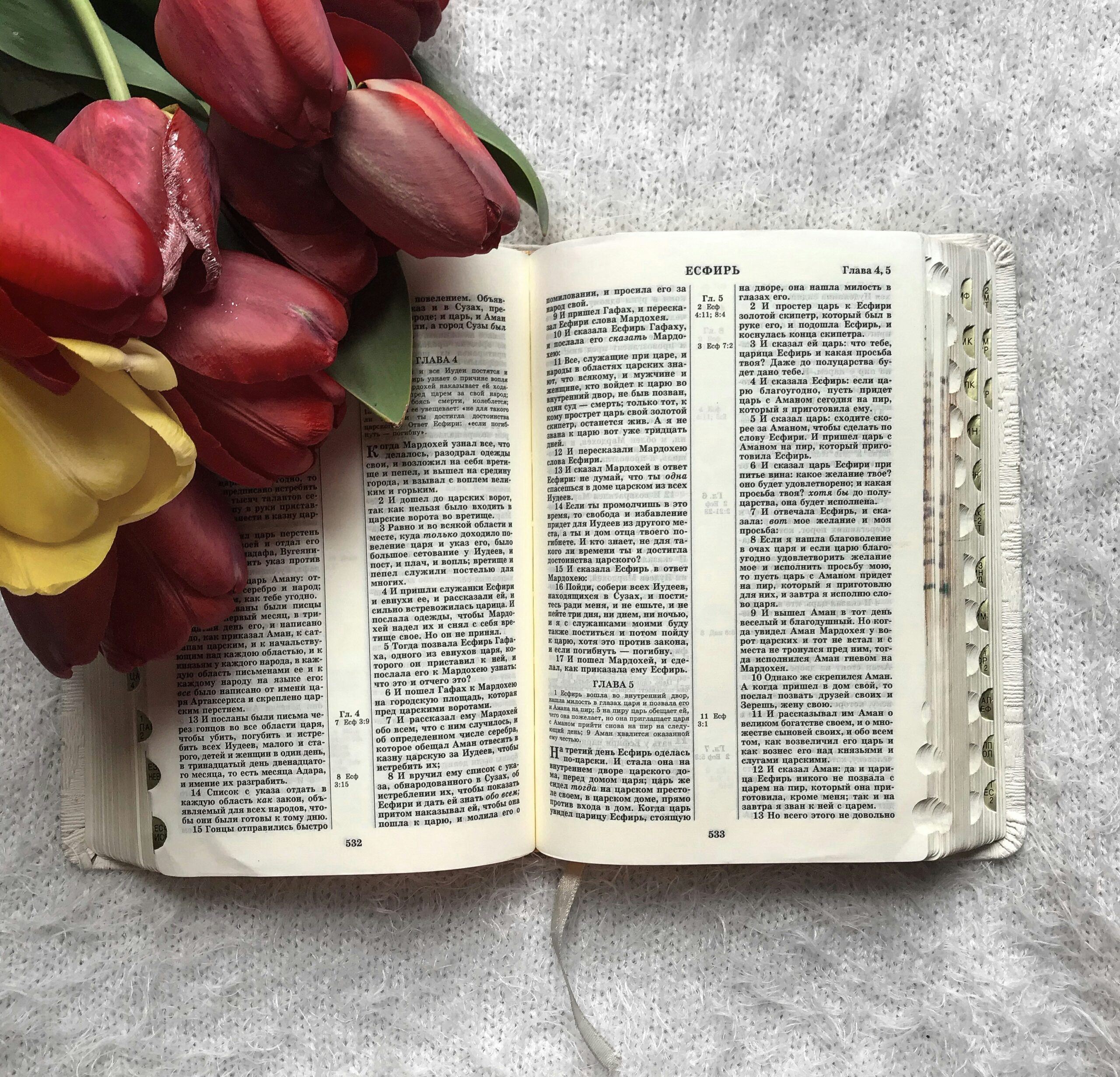 Bible opened